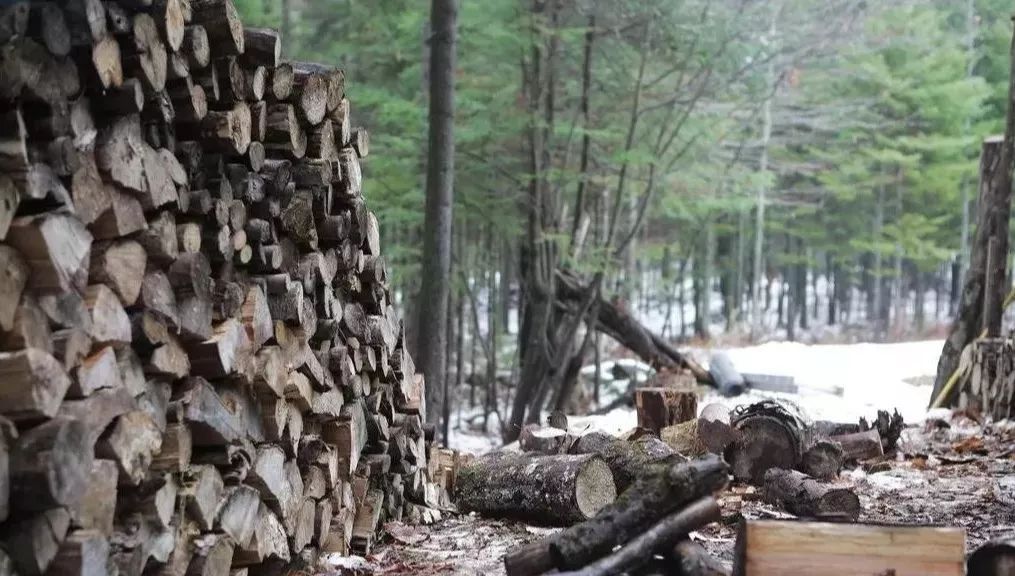 保價6.jpg 保價6.jpg